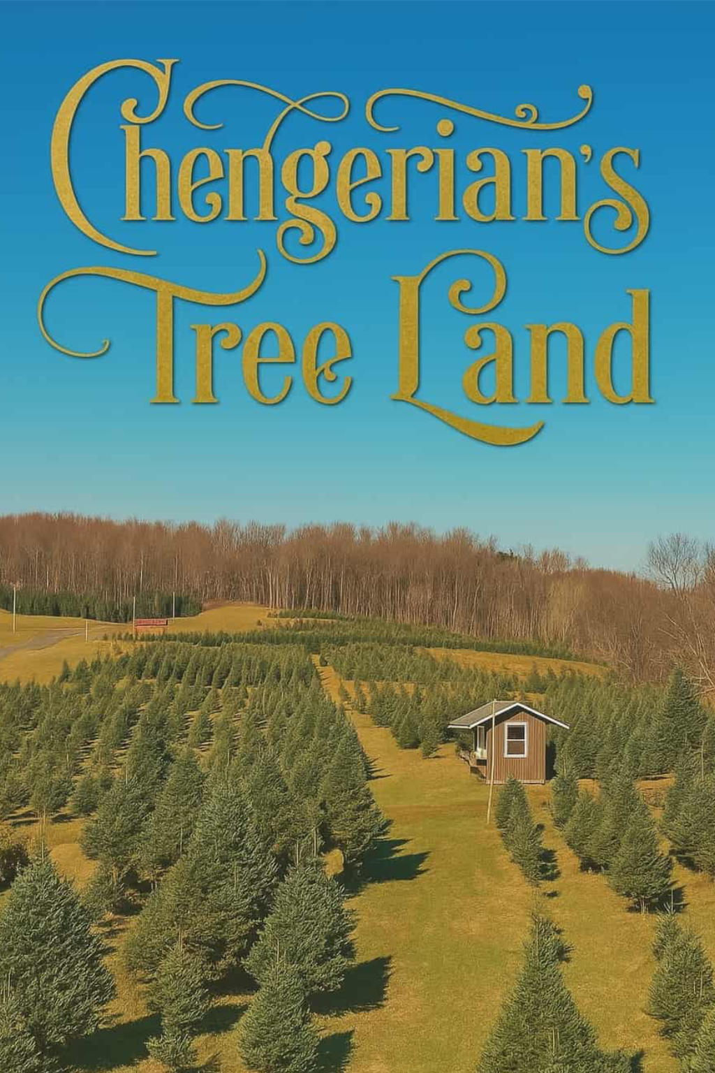 Bob Chengerian showing Christmas trees at the farm