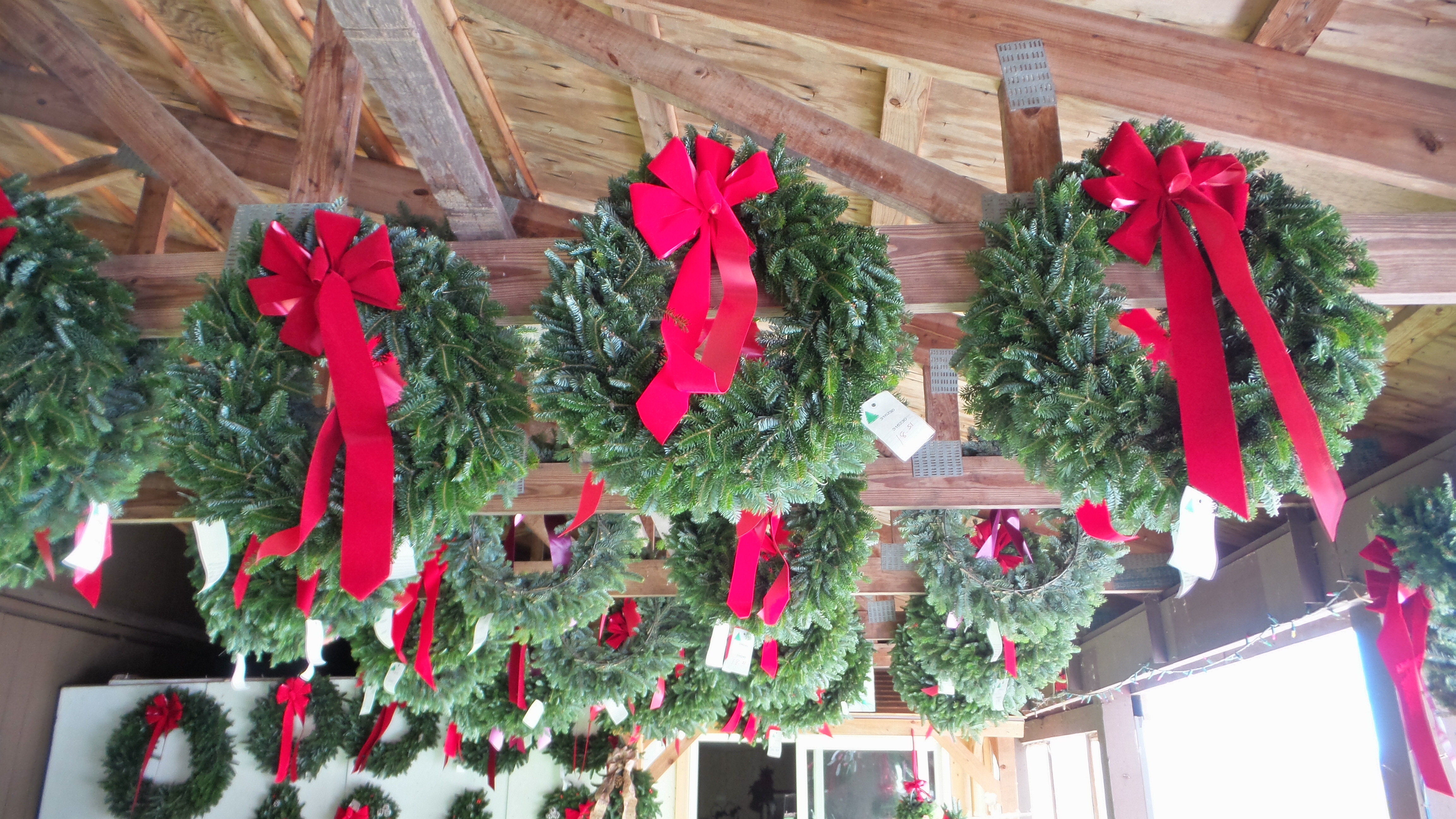 Fraser Fir wreath on door
